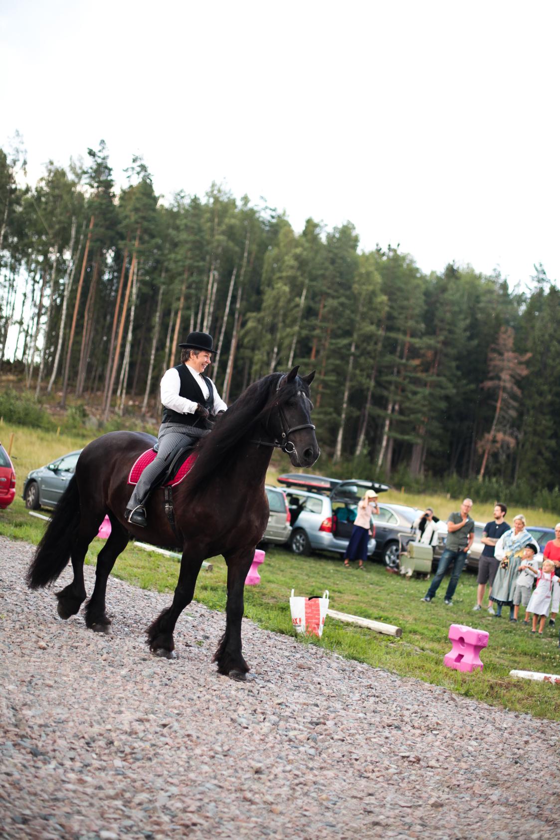 Krycka (124)