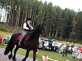 Krycka (124)