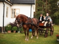 Krycka (234)